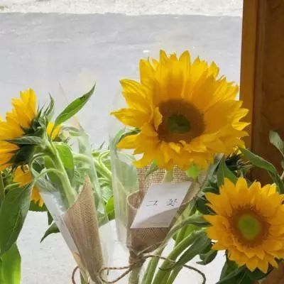 6686体育官网下载